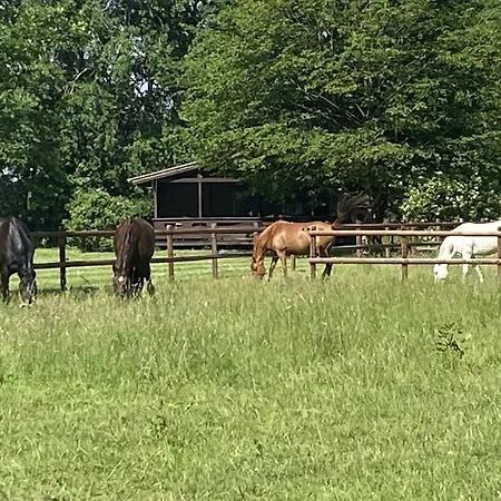 In Eschede, Lueneburg Casa de Férias
