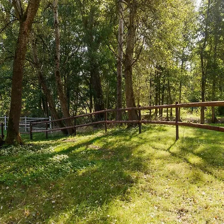 Gemuetliches Blockhaus In Bei Lueneburg *