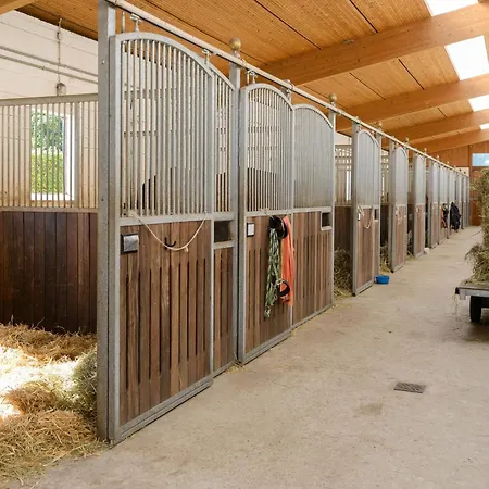 In Eschede, Lueneburg Eschede