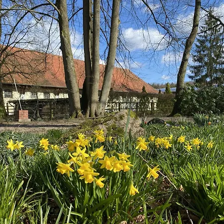 Gemuetliches Blockhaus In Bei Lueneburg