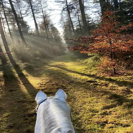 Casa de Férias In Eschede, Lueneburg *