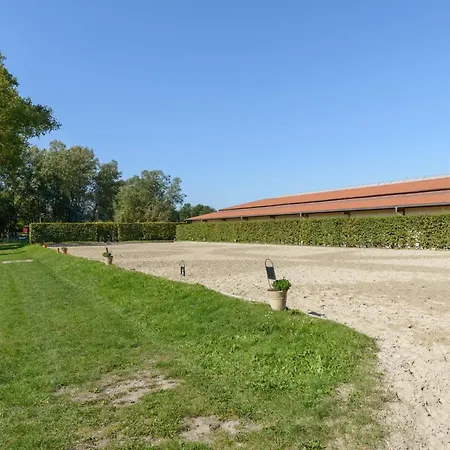 Gemuetliches Blockhaus In Bei Lueneburg Eschede