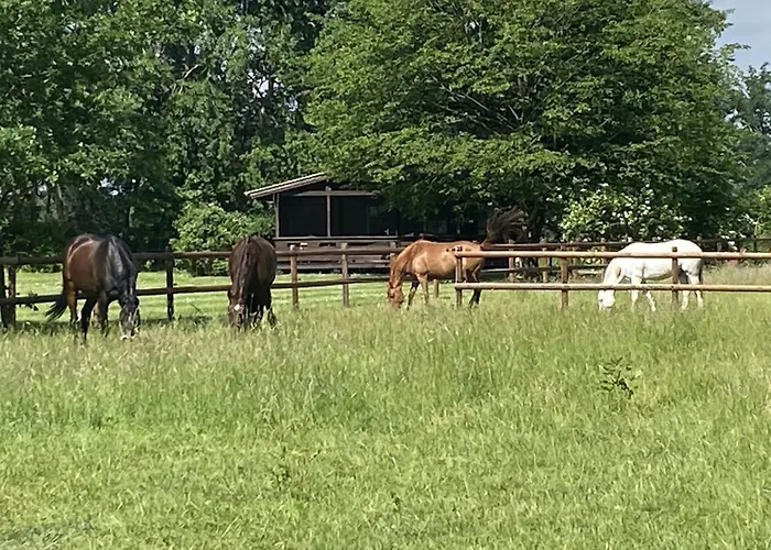 In Eschede, Lueneburg Semesterbostad