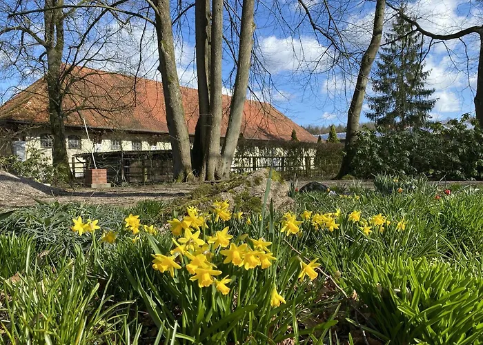 Gemuetliches Blockhaus In Bei Lueneburg