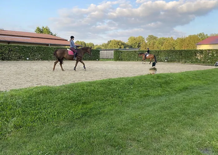 In Eschede, Lueneburg * Eschede