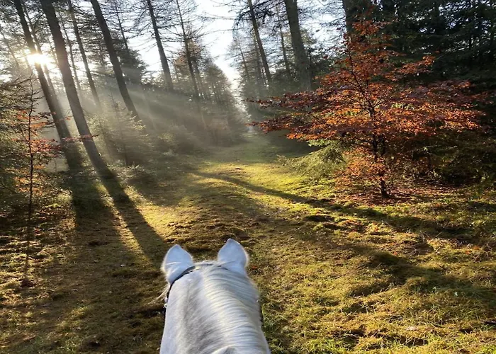 Semesterbostad In Eschede, Lueneburg *