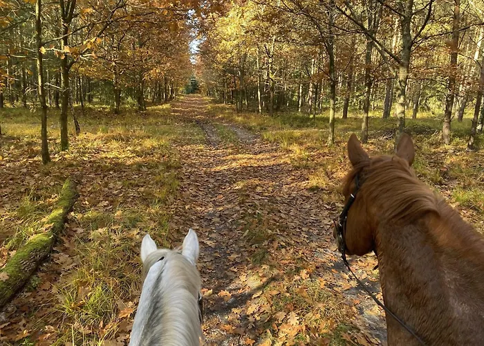 In Eschede, Lueneburg *